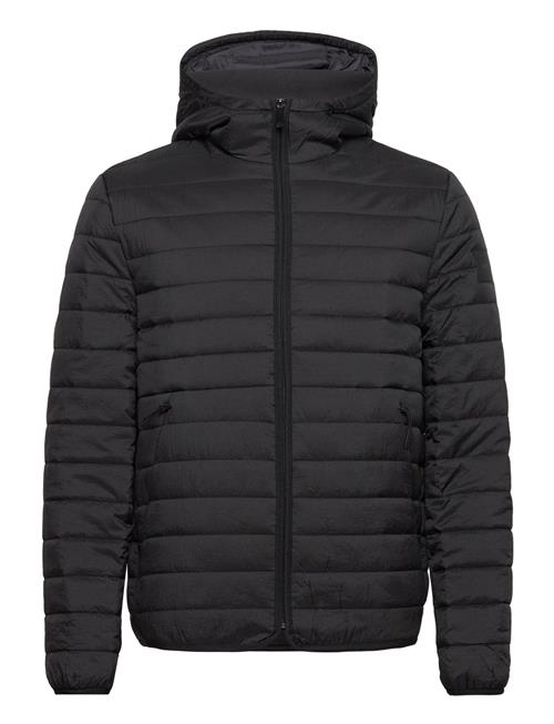 Quilted Crinkle Jacket Hood Calvin Klein Black