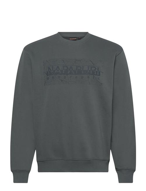 Se Napapijri Albula Sweatshirt Napapijri Green ved Booztlet