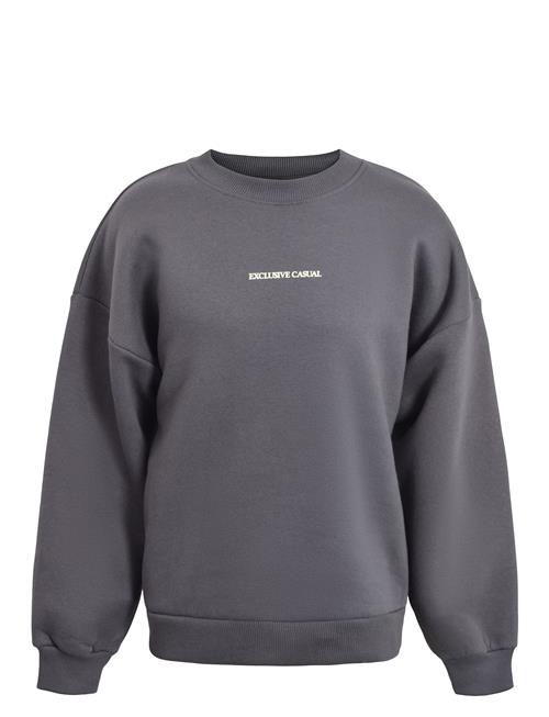 Hound Sweatshirt Hound Grey