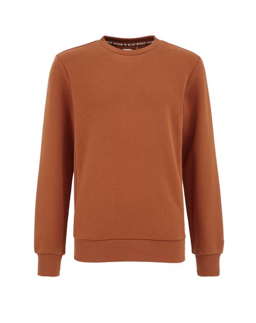 WE Fashion Sweatshirt  brun