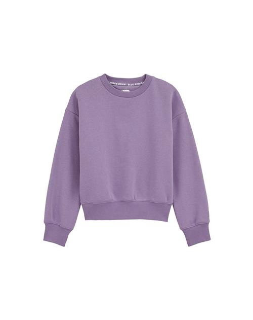 WE Fashion Sweatshirt  lilla