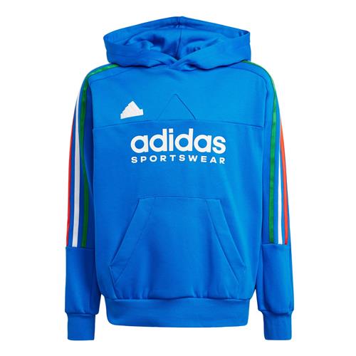 ADIDAS SPORTSWEAR Sportsweatshirt 'Tiro Nations'  royalblå / grøn / rød / hvid