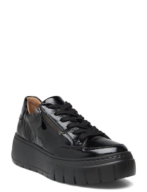 Se Gabor Sneaker Gabor Black ved Booztlet