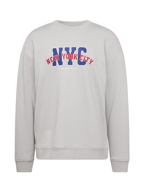 Se Denim Project Sweatshirt 'City'  lysegrå / mørkelilla / rød / hvid ved About You