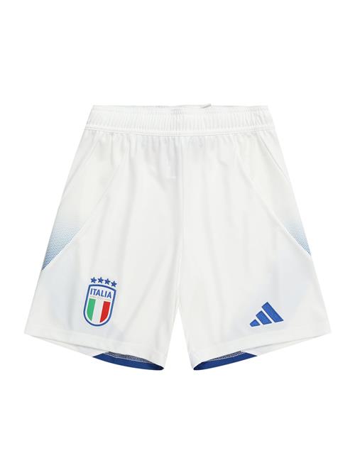 Se ADIDAS PERFORMANCE Sportsbukser 'Italy 24'  blå / grøn / kirsebærsrød / hvid ved About You