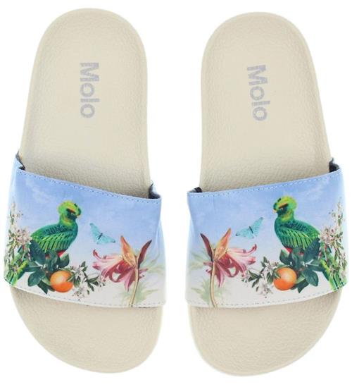 Se Molo Badesandaler - Zhappy - Paradise Bird ved KidsWorld