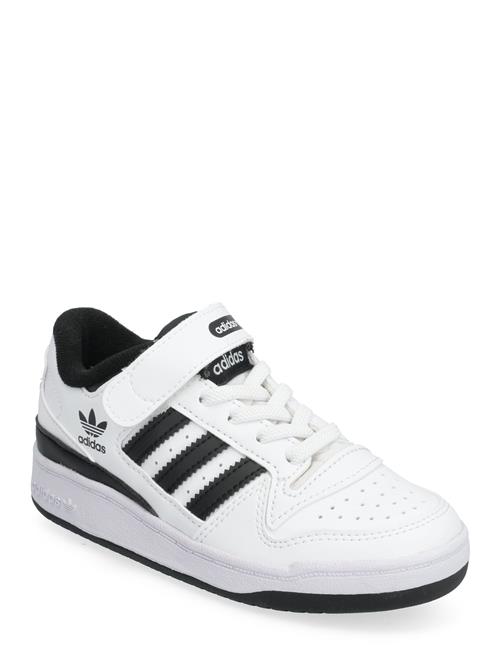 Forum Low C Adidas Originals White