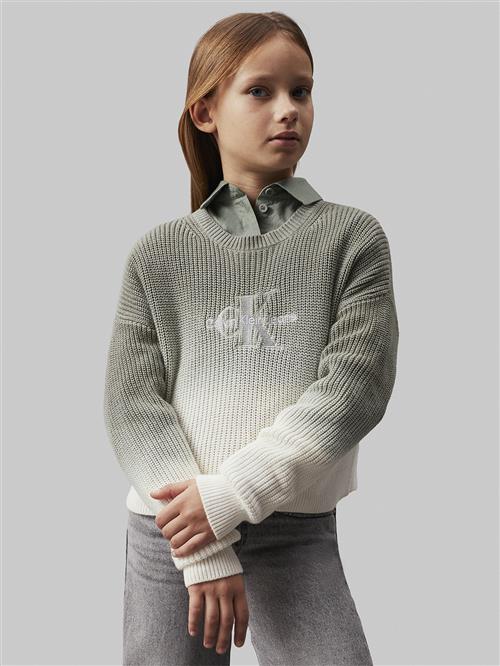 Calvin Klein Monogram Gradient Sweater Str 12 år - 0id Sweatshirts hos Magasin