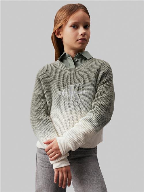 Calvin Klein Monogram Gradient Sweater Str 14 år - 0id Sweatshirts hos Magasin