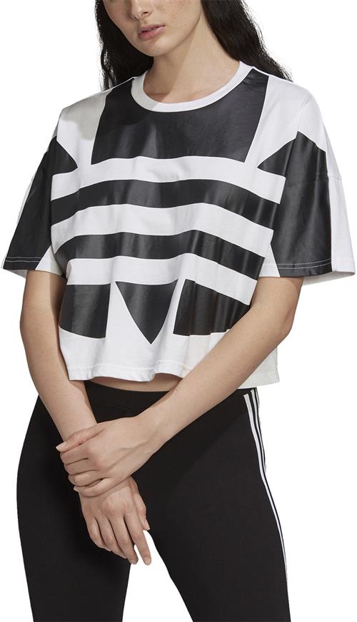 Se adidas Large Logo Cropped Tshirt 38 - Trænings T-shirts Bomuld hos Magasin ved Magasin