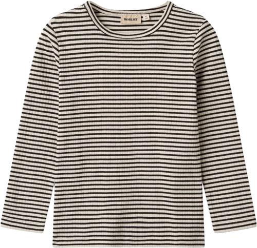 Wheat Langærmet Basis Tshirt Britt Str 3 år / 98 cm - Black Stripe Langærmede T-shirts Bomuld hos Magasin