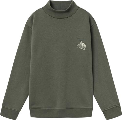 Se Name It Nkmnaskab LS Nreg Sweat BRU BOX Str 146/152 - Tea Leaf Sweatshirts hos Magasin ved Magasin