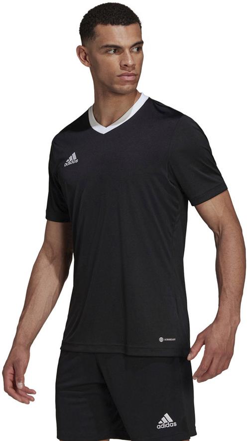 Se adidas Entrada 22 Tshirt L - T-shirts hos Magasin ved Magasin