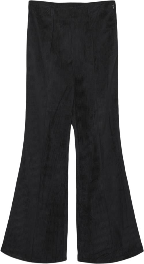 Something New Sndiana HW Flared Pants DSQ Kvinde Black Flare Bukser Str S - hos Magasin