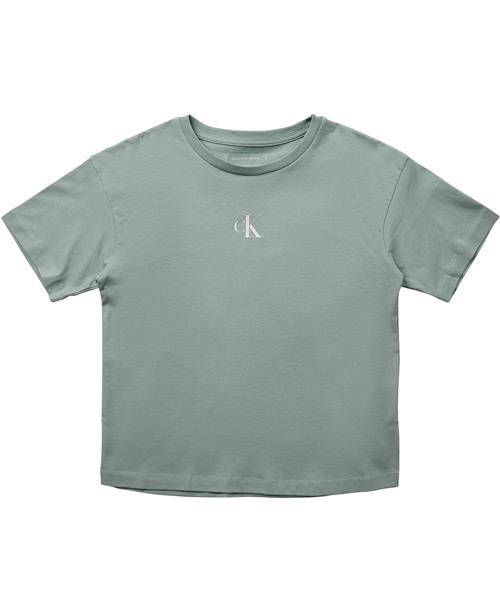 Calvin Klein CK Logo Boxy Tshirt Str 8 - Jadeite Kortærmede T-shirts hos Magasin