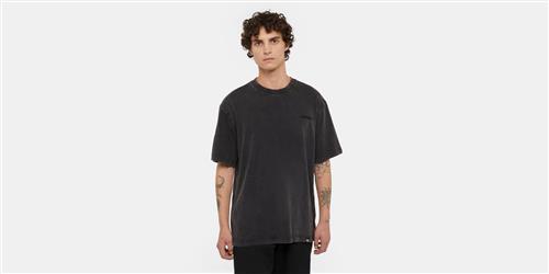 Dickies Plentywood TEE SS Dble Dye/acid WAS Mand Dble Dye/acd Bl Kortærmede T-shirts Str XL - hos Magasin