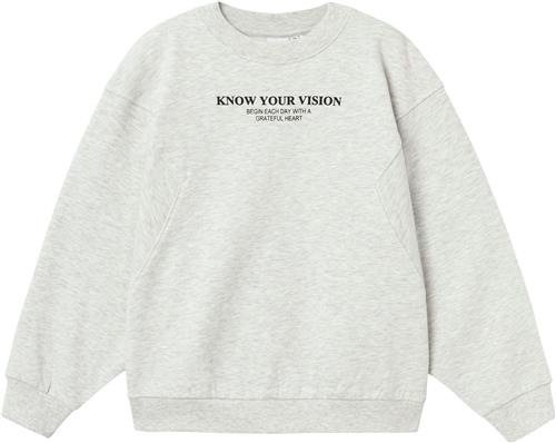 Name It Nkfnakonni LS RLX Sweat BRU Str 122/128 - Grå Sweatshirts hos Magasin