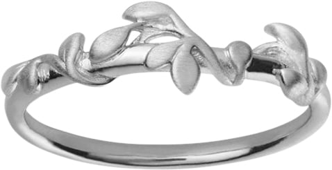 ByBiehl Jungle Ivy Ring Silver 52 - Ringe hos Magasin