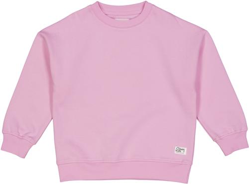 Se Müsli by Green Cotton Olsen Kids Believe Sweatshirt Str 128 - Bonbon Bluser Bomuld hos Magasin ved Magasin