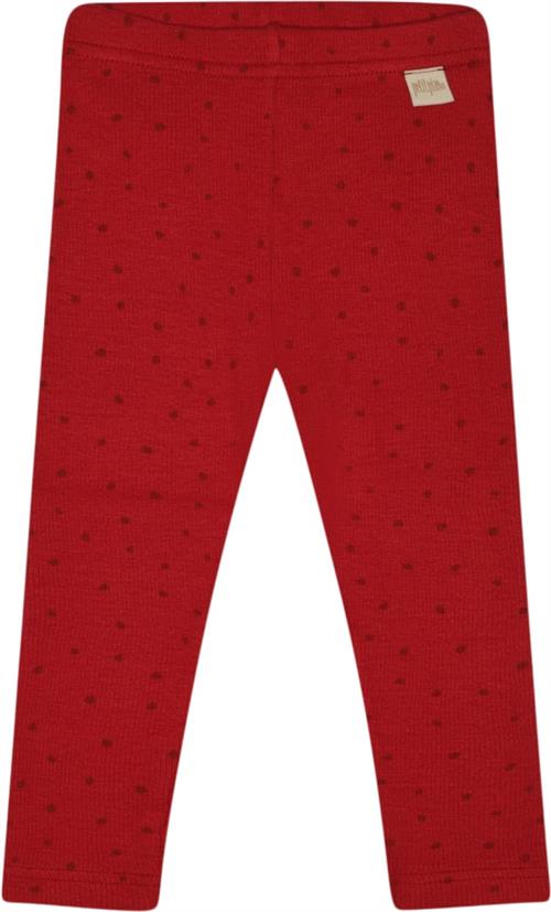 Se PETIT PIAO Legging Modal Dot Str 74 cm - Chili Pepper Dot Leggings Bomuld hos Magasin ved Magasin