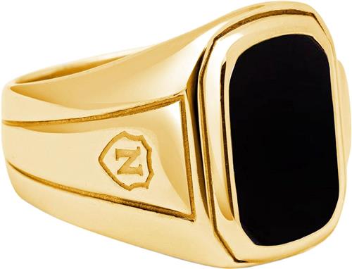 Se Nialaya Men's Oblong Gold Plated Signet Ring With Onyx 9 - Ringe Stål hos Magasin ved Magasin