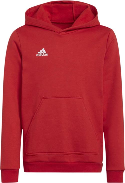 Se adidas Entrada 22 Sweat Hættetrøje 152 - Sweatshirts & Hættetrøjer Bomuld hos Magasin ved Magasin