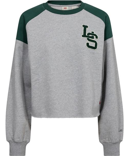 Levi's Graphic Campout Crew LS Monogr Kvinde Grå Sweatshirts Str L - hos Magasin