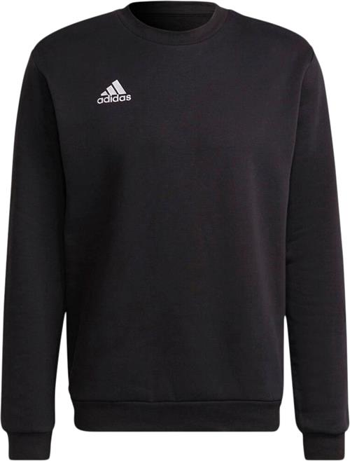 Se adidas Entrada 22 Sweatshirt L - Sweatshirts Bomuld hos Magasin ved Magasin