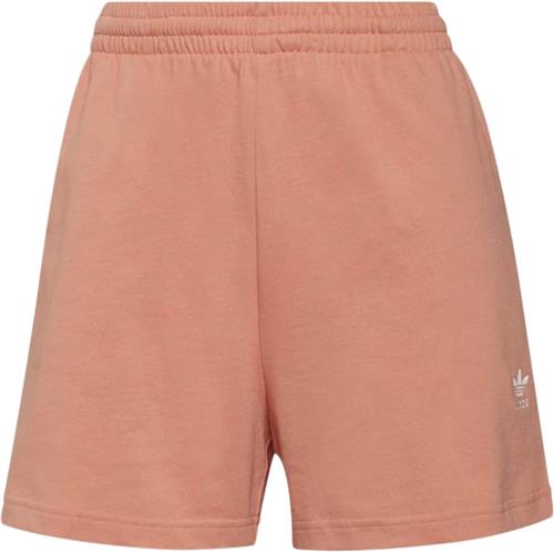 adidas Shorts Kvinde Amblus Sweatshorts Str 34 - Bomuld hos Magasin