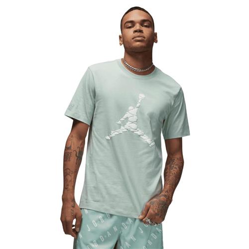 Nike Jordan Essentials Tshirt Mand Pistachio Frost/white Kortærmede T-shirts Str XL - Bomuld hos Magasin