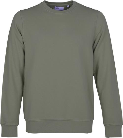 Colorful Standard Classic Organic Crew Mand Dusty Olive Sweatshirts Str XXL - Bomuld hos Magasin