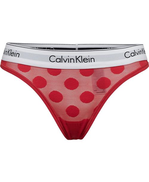 Calvin Klein Thong Briefs Str S - hos Magasin