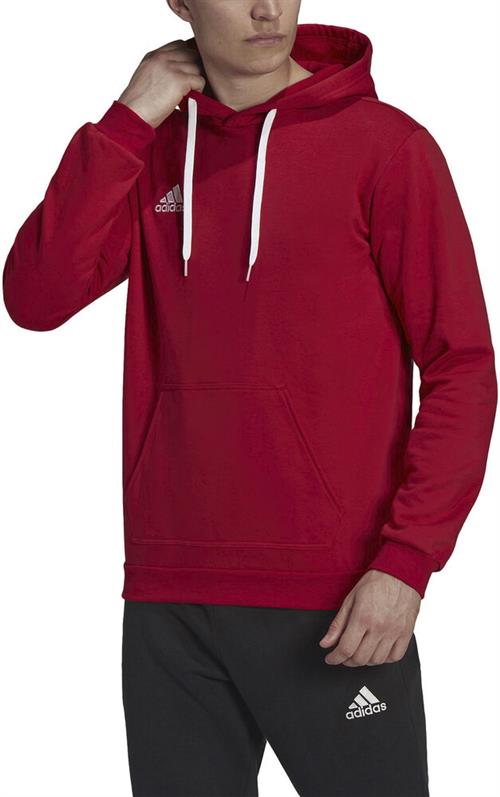 adidas Entrada 22 Sweat Hættetrøje S - Hættetrøjer Bomuld hos Magasin