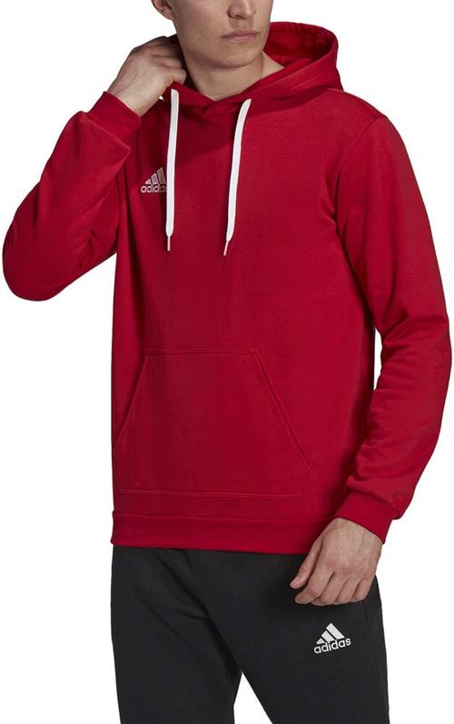 adidas Entrada 22 Sweat Hættetrøje M - Hættetrøjer Bomuld hos Magasin