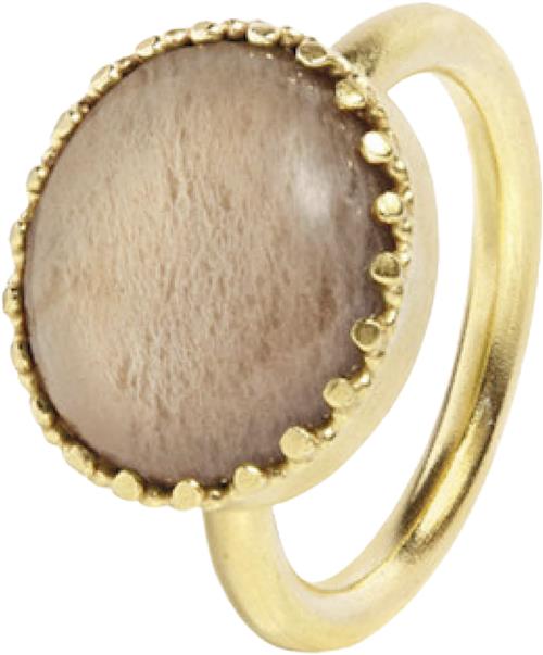 Carré Jewellery Ceos Ring With Sand Moonstone gol 52 - Ringe hos Magasin