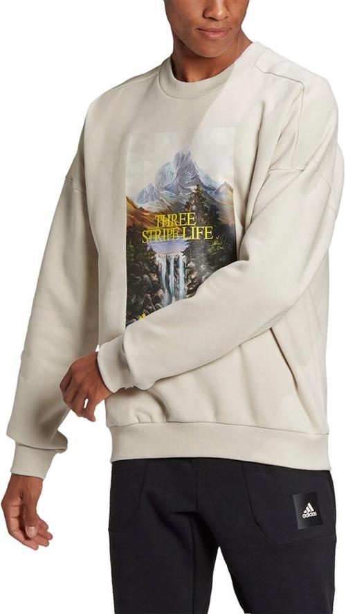 adidas Adidas Sportswear Mountain Graphic Trøje M - Sweatshirts Bomuld hos Magasin