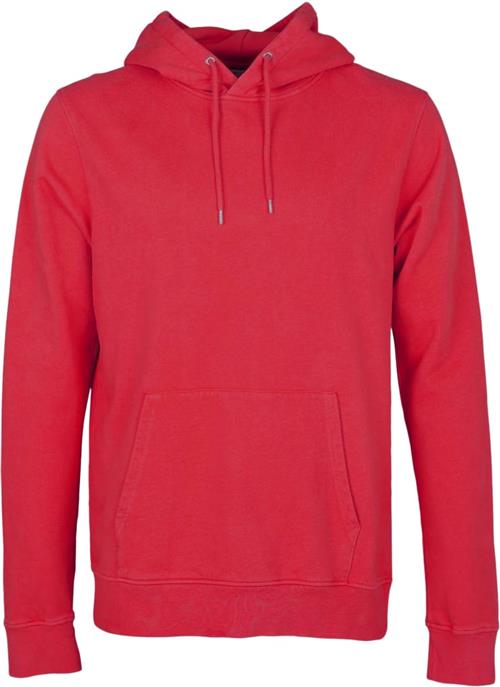 Colorful Standard Classic Organic Hood Kvinde Scarlet Red Hættetrøjer Str XS - Bomuld hos Magasin