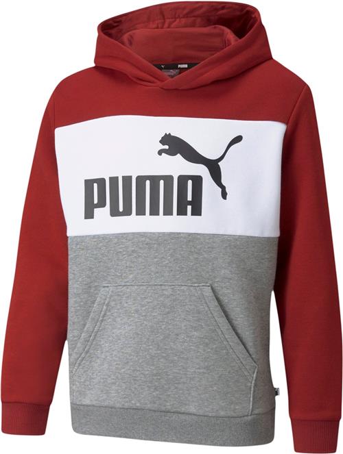 Se Puma Essentials+ Colourblock Hættetrøje 92 - Sweatshirts & Hættetrøjer hos Magasin ved Magasin