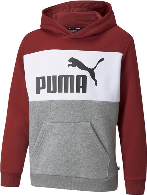 Se Puma Essentials+ Colourblock Hættetrøje 116 - Sweatshirts & Hættetrøjer hos Magasin ved Magasin