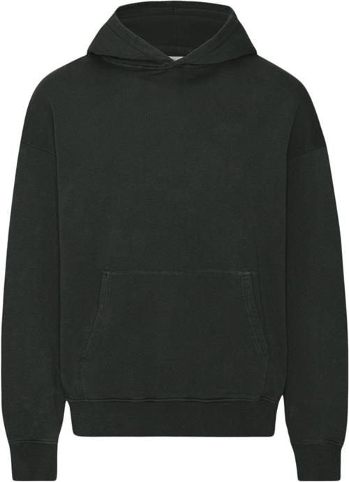 Colorful Standard Organic Oversized Hood Mand Midnight Forest Hoodies Str L - hos Magasin