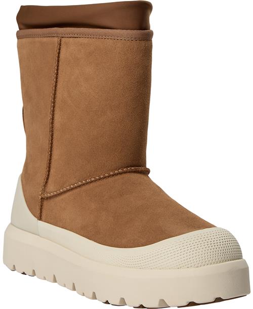 UGG M Classic Short Weat Mand Chestnut/whitecap Vinterstøvler Str 43 - hos Magasin