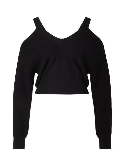 IRO Pullover  sort