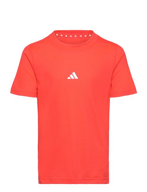 J D4T Tee Adidas Sportswear Orange