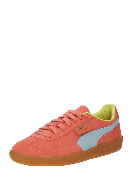 PUMA Sneaker low 'Palermo'  lyseblå / guld / laks