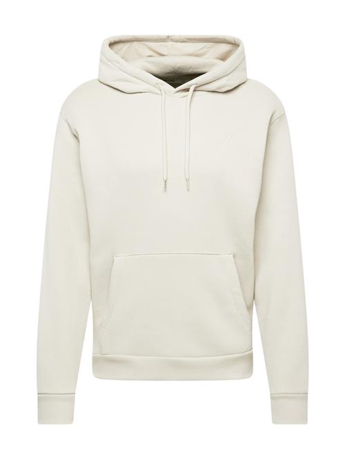 HOLLISTER Sweatshirt  lysebeige