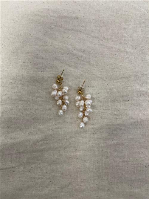 The Collection Pearl earrings