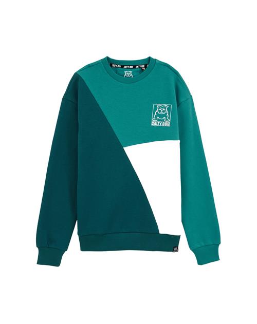 WE Fashion Sweatshirt  grøn / hvid