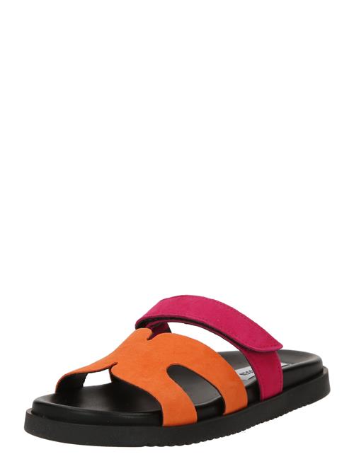 Se STEVE MADDEN Pantoletter 'Missile-E'  orange / fuchsia ved About You