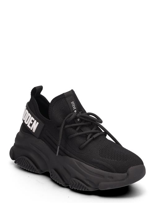 Se Steve Madden Protégé-E Sneaker Steve Madden Black ved Booztlet