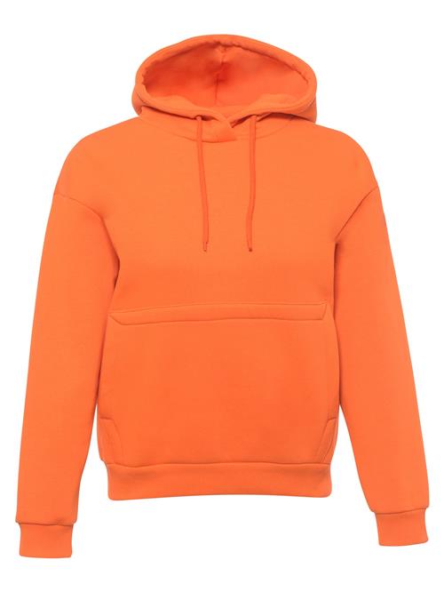 FRESHLIONS Sweatshirt ' Balina '  orange